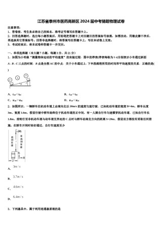 江苏省泰州市医药高新区2024届中考猜题物理试卷含解析.doc