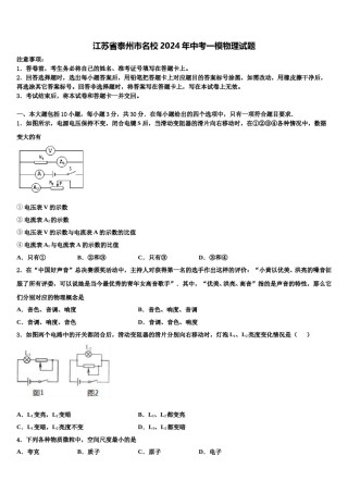 江苏省泰州市名校2024年中考一模物理试题含解析.doc