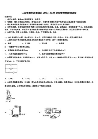 江苏省泰州市姜堰区2023-2024学年中考物理模试卷含解析.doc