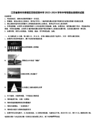 江苏省泰州市姜堰区实验初级中学2023-2024学年中考物理全真模拟试题含解析.doc