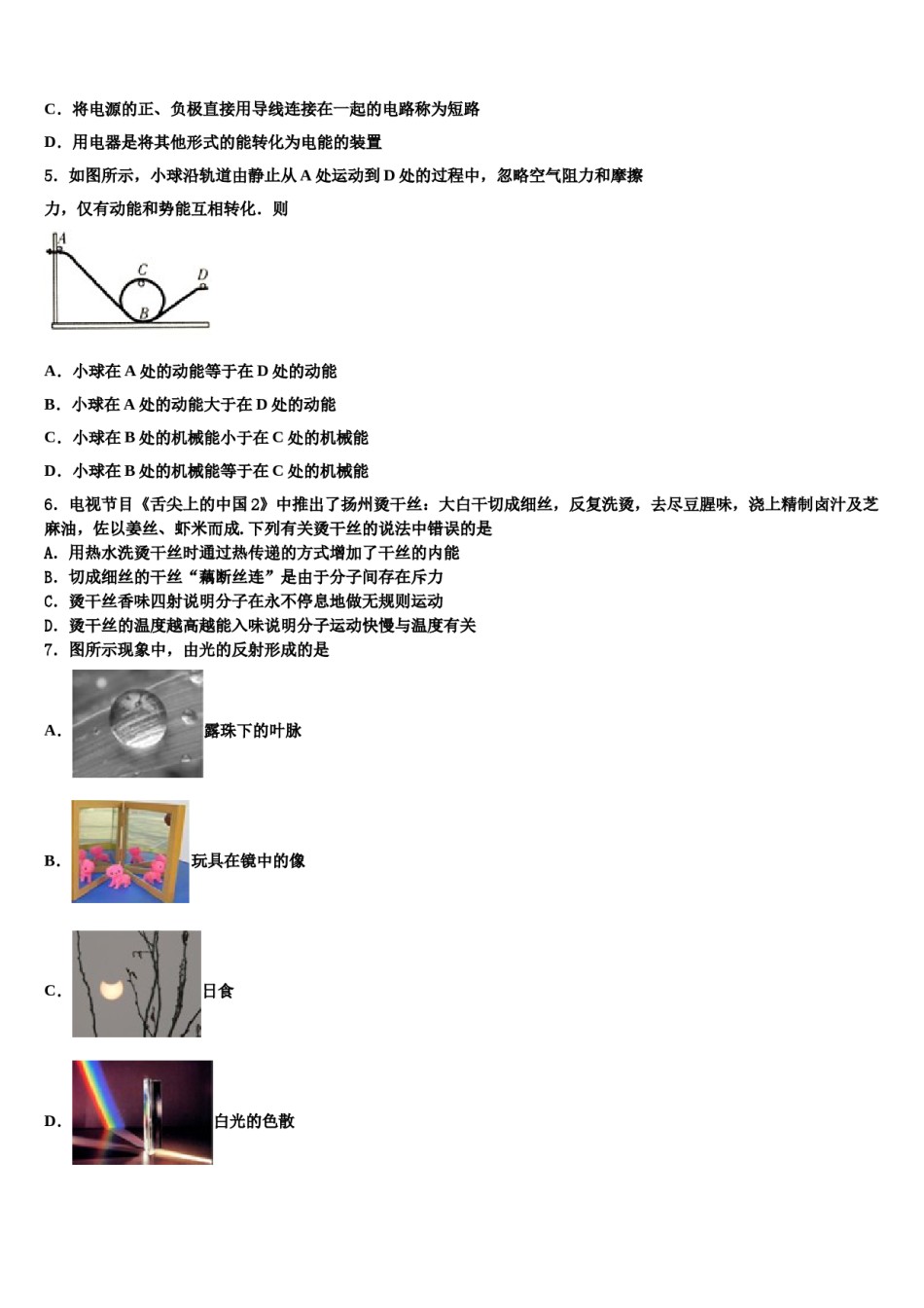 江苏省泰州市靖江实验校2024届中考联考物理试题含解析.doc_第2页