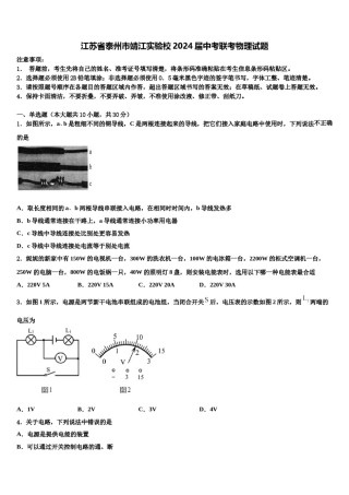 江苏省泰州市靖江实验校2024届中考联考物理试题含解析.doc