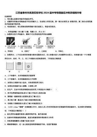 江苏省泰州市高港实验学校2024届中考物理最后冲刺浓缩精华卷含解析.doc