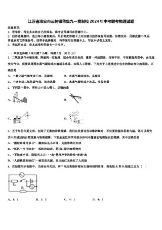 江苏省淮安市三树镇蒋集九一贯制校2024年中考联考物理试题含解析.doc