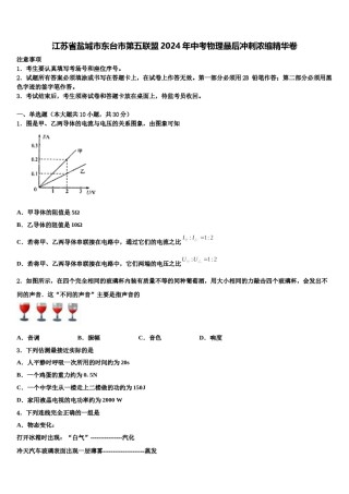 江苏省盐城市东台市第五联盟2024年中考物理最后冲刺浓缩精华卷含解析.doc