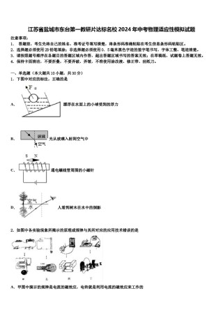 江苏省盐城市东台第一教研片达标名校2024年中考物理适应性模拟试题含解析.doc