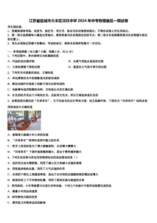 江苏省盐城市大丰区沈灶中学2024年中考物理最后一模试卷含解析.doc