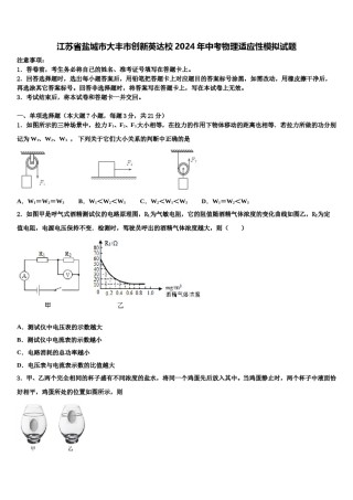 江苏省盐城市大丰市创新英达校2024年中考物理适应性模拟试题含解析.doc