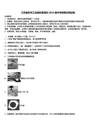 江苏省苏州工业园区星湖校2024届中考物理五模试卷含解析.doc