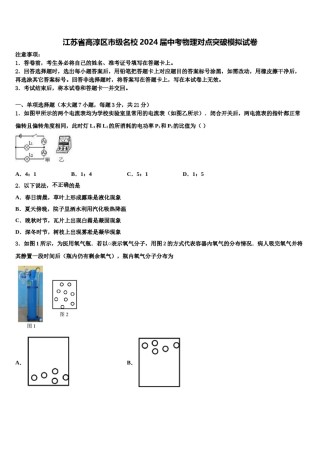 江苏省高淳区市级名校2024届中考物理对点突破模拟试卷含解析.doc