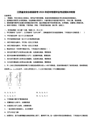 江西省吉安永新县联考2024年初中物理毕业考试模拟冲刺卷含解析.doc