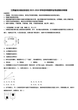 江西省吉水县达标名校2023-2024学年初中物理毕业考试模拟冲刺卷含解析.doc