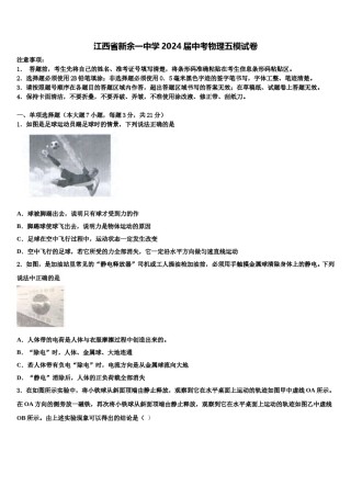 江西省新余一中学2024届中考物理五模试卷含解析.doc