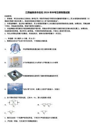 江西省新余市名校2024年中考五模物理试题含解析.doc