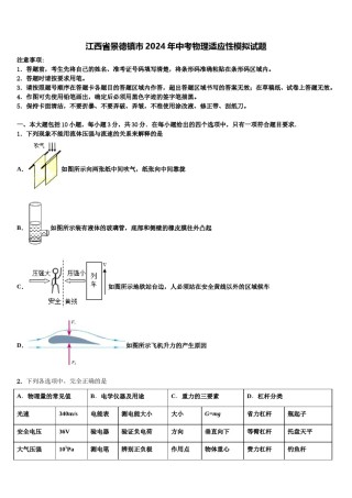 江西省景德镇市2024年中考物理适应性模拟试题含解析.doc