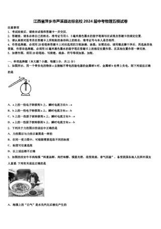 江西省萍乡市芦溪县达标名校2024届中考物理五模试卷含解析.doc