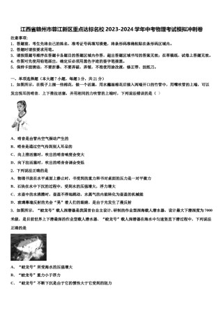 江西省赣州市蓉江新区重点达标名校2023-2024学年中考物理考试模拟冲刺卷含解析.doc