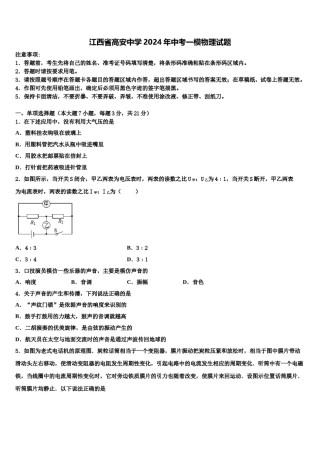 江西省高安中学2024年中考一模物理试题含解析.doc