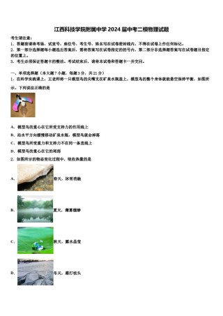 江西科技学院附属中学2024届中考二模物理试题含解析.doc