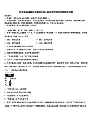 河北省临城县重点中学2024年中考物理适应性模拟试题含解析.doc