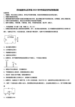 河北省唐市山乐亭县2024年中考适应性考试物理试题含解析.doc