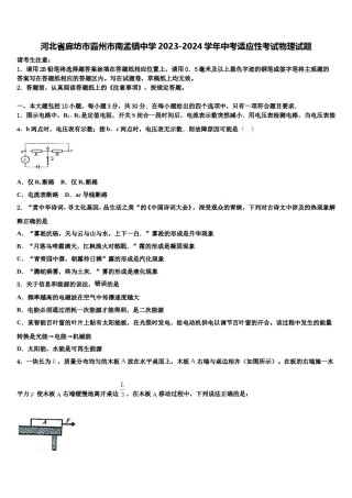 河北省廊坊市霸州市南孟镇中学2023-2024学年中考适应性考试物理试题含解析.doc
