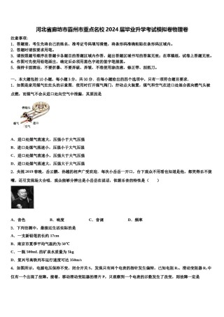 河北省廊坊市霸州市重点名校2024届毕业升学考试模拟卷物理卷含解析.doc