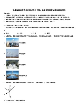 河北省廊坊市霸州市重点名校2024年毕业升学考试模拟卷物理卷含解析.doc