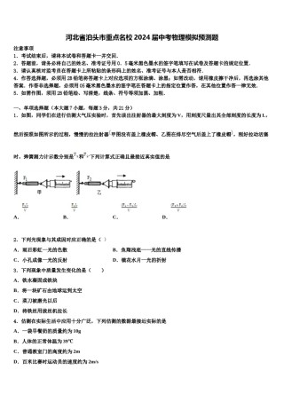 河北省泊头市重点名校2024届中考物理模拟预测题含解析.doc