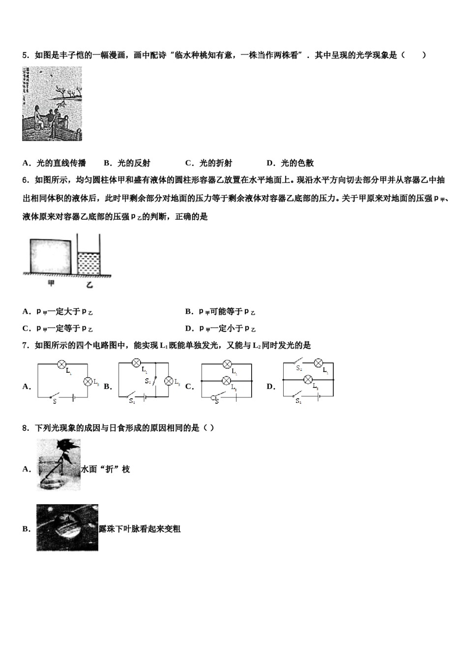河北省石家庄市平山县2024年中考物理押题卷含解析.doc_第2页