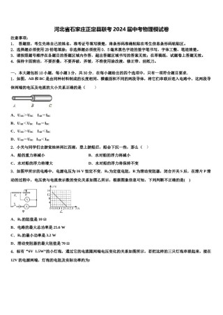 河北省石家庄正定县联考2024届中考物理模试卷含解析.doc