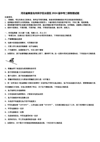 河北省秦皇岛市抚宁区台营区2024届中考二模物理试题含解析.doc