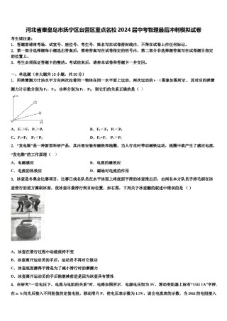 河北省秦皇岛市抚宁区台营区重点名校2024届中考物理最后冲刺模拟试卷含解析.doc