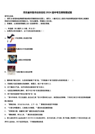 河北省辛集市达标名校2024届中考五模物理试题含解析.doc