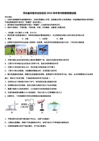 河北省辛集市达标名校2024年中考冲刺卷物理试题含解析.doc