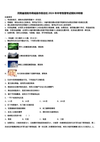 河南省信阳市商城县市级名校2024年中考物理考试模拟冲刺卷含解析.doc