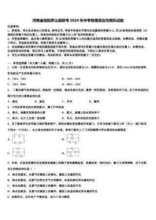 河南省信阳罗山县联考2024年中考物理适应性模拟试题含解析.doc