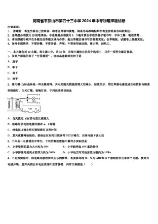 河南省平顶山市第四十三中学2024年中考物理押题试卷含解析.doc