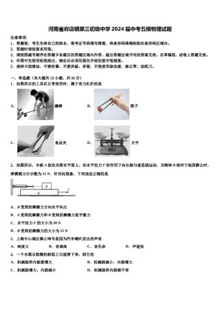 河南省府店镇第三初级中学2024届中考五模物理试题含解析.doc