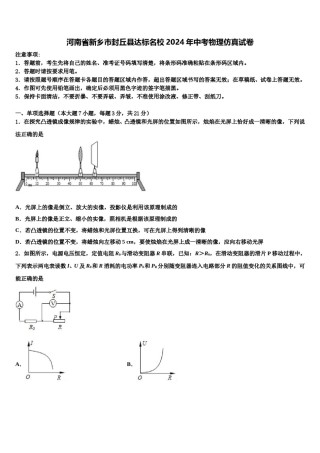 河南省新乡市封丘县达标名校2024年中考物理仿真试卷含解析.doc