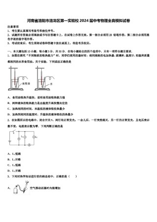 河南省洛阳市洛龙区第一实验校2024届中考物理全真模拟试卷含解析.doc