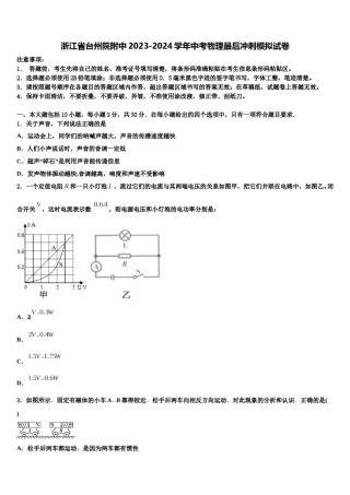 浙江省台州院附中2023-2024学年中考物理最后冲刺模拟试卷含解析.doc