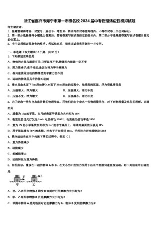 浙江省嘉兴市海宁市第一市级名校2024届中考物理适应性模拟试题含解析.doc