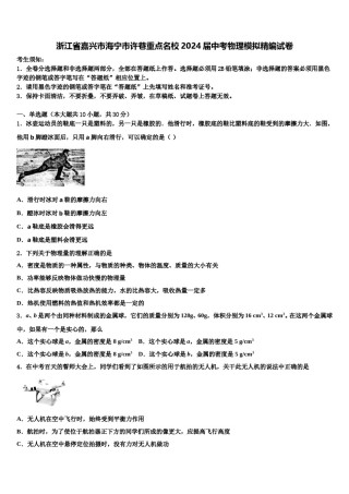 浙江省嘉兴市海宁市许巷重点名校2024届中考物理模拟精编试卷含解析.doc