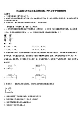 浙江省嘉兴市海盐县重点达标名校2024届中考物理猜题卷含解析.doc