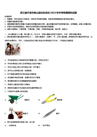 浙江省宁波市象山县达标名校2024年中考物理模拟试题含解析.doc