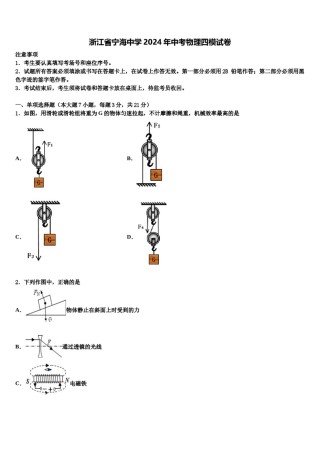 浙江省宁海中学2024年中考物理四模试卷含解析.doc