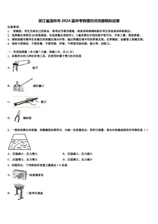 浙江省温岭市2024届中考物理对点突破模拟试卷含解析.doc