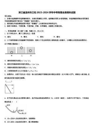 浙江省温州市三校2023-2024学年中考物理全真模拟试题含解析.doc