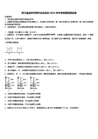 浙江省温州市翔升达标名校2024年中考物理四模试卷含解析.doc